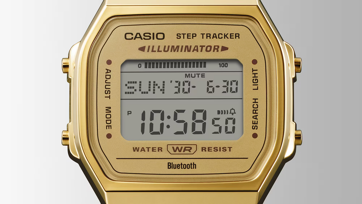 CASIO VINTAGE UNISEX WATCH ABL-100WEG-9ADF