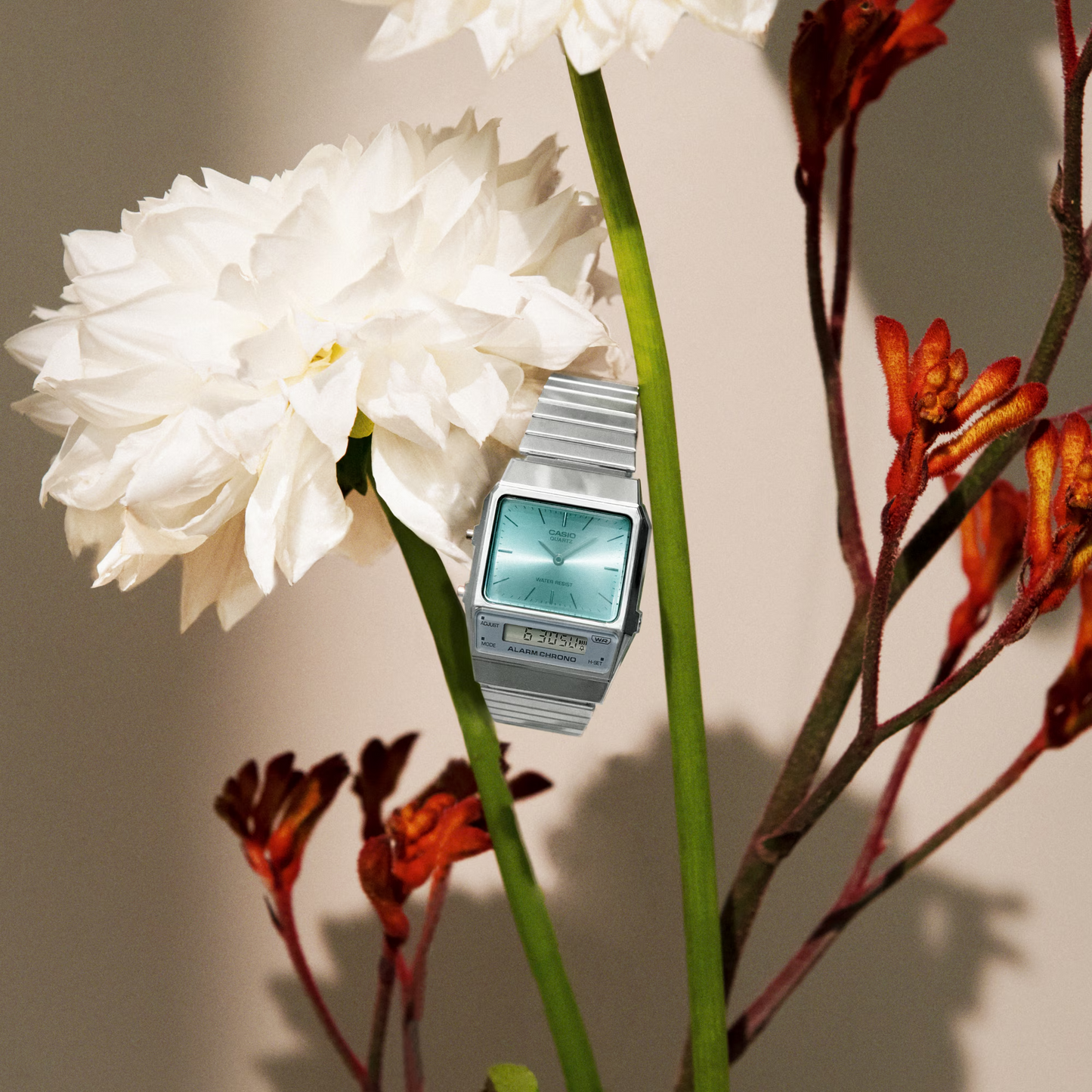 CASIO ANALOG DIGITAL MENS WATCH AQ-800EC-2ADF