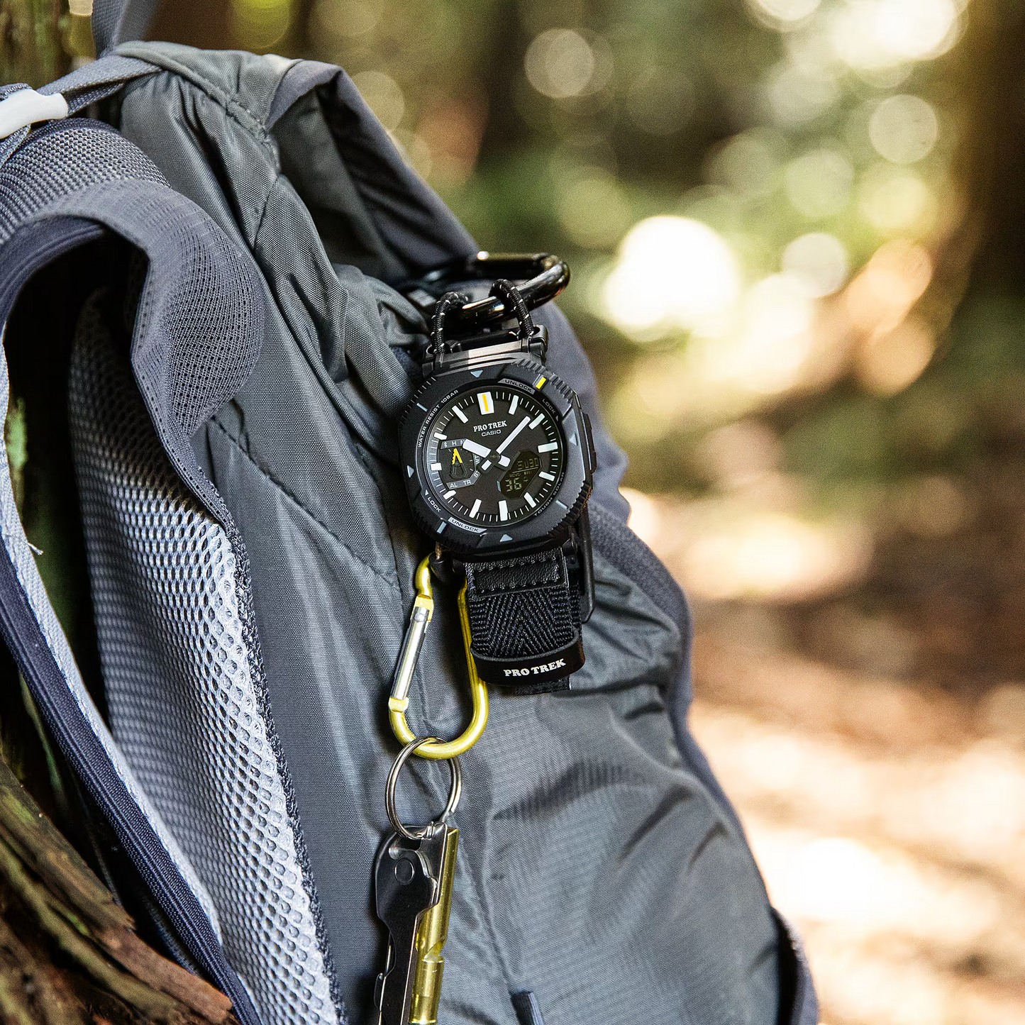 PROTREK MENS WATCH PRJ-B001B-1DR