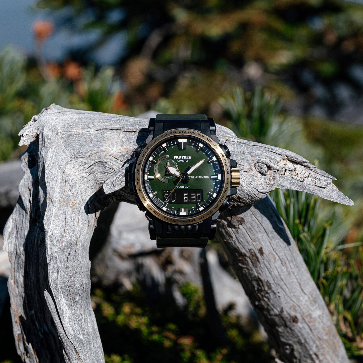 PROTREK MENS WATCH PRW-61ANS-3DR